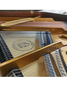Hoffmann HW-V158 noir laqué