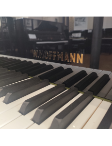 Hoffmann HW-T186  