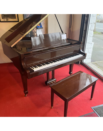 Kawai KG 1