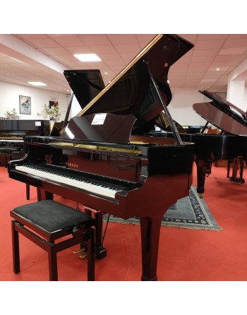 Yamaha G1 Genio Premium