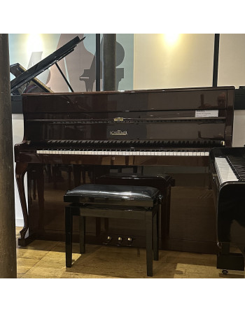 Schimmel 112