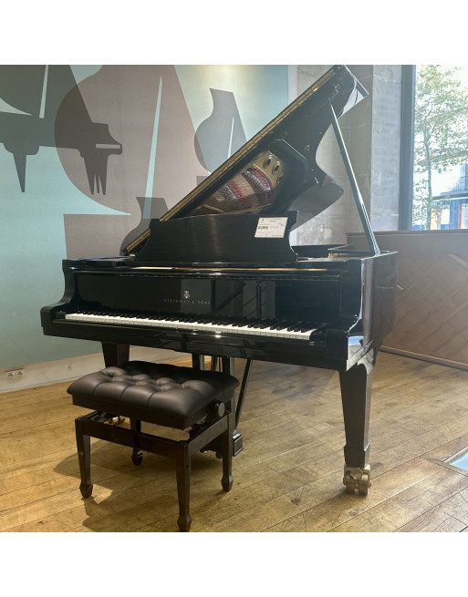 Steinway & Sons D