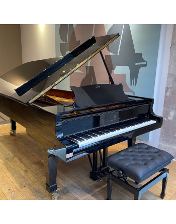 Steinway & Sons D