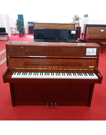 Sauter 110