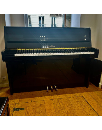 Schimmel 112