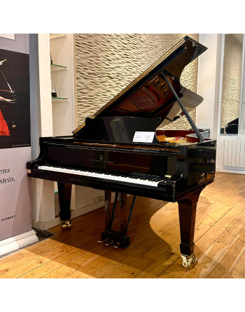 Steinway & Sons D