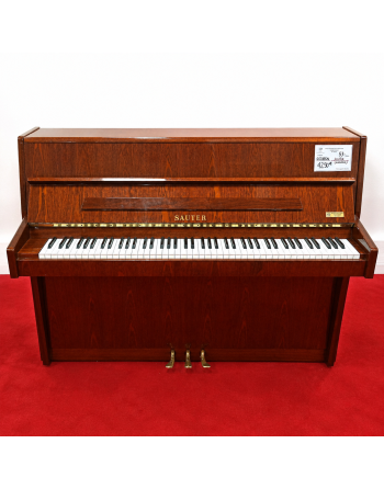 Sauter 110