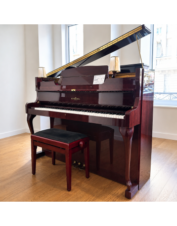 Schimmel 112