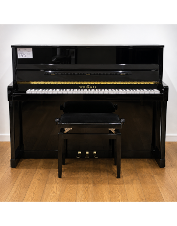 Schimmel 114
