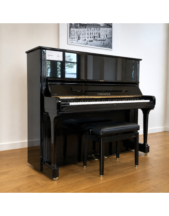 C. Bechstein Concert 8