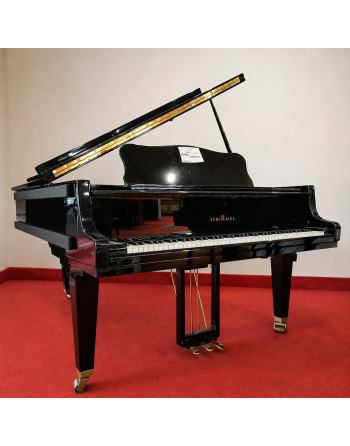 Schimmel 208