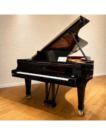 Steinway & Sons D