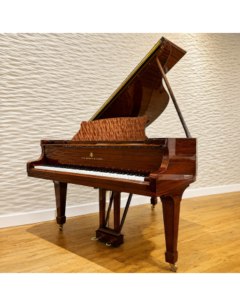 Steinway & Sons M