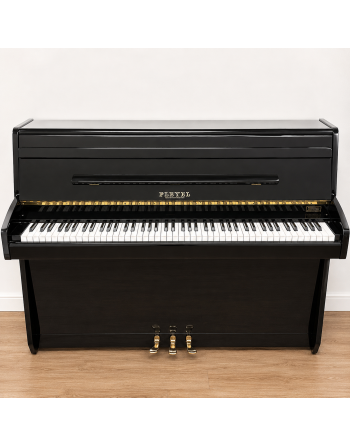 Pleyel Monceau