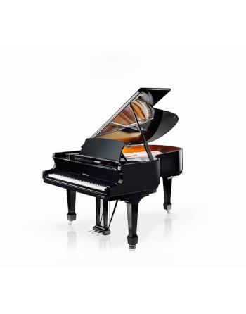 W. Hoffmann P206 Vario