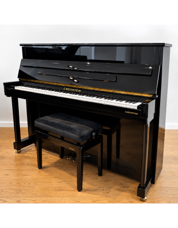 C. Bechstein 118