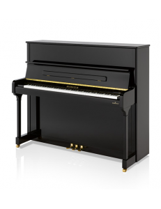 Bechstein R6 Style Vario Duet