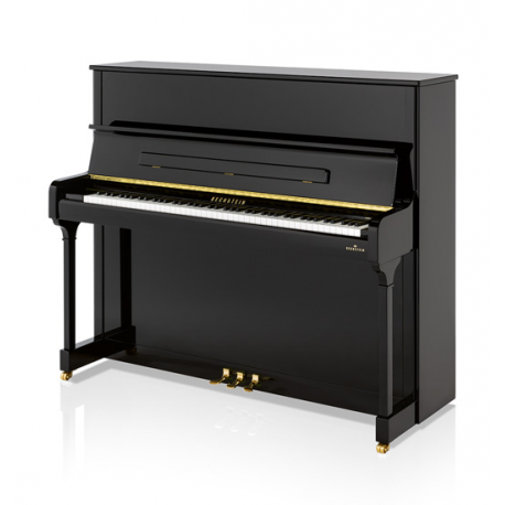 Bechstein R6 Style Vario Duet