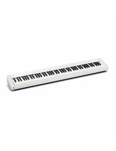 CASIO PX-S1000
