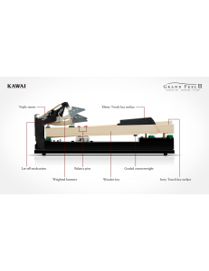Pack Kawai CA-79