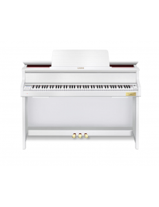 CASIO GP 310 