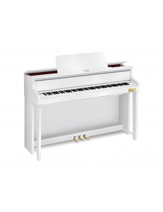 CASIO GP 310 
