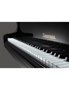 Zimmermann Z175