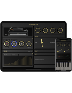 Hoffmann Professional 126 laqué noir