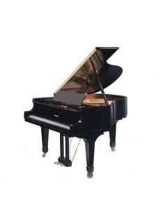 Hoffmann HW-V158 noir laqué