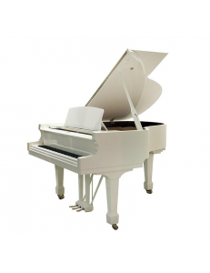 Hoffmann HW-T161 