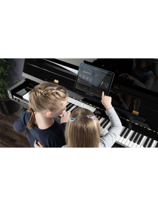 Bechstein 175 laqué noir