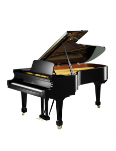 Bechstein A228