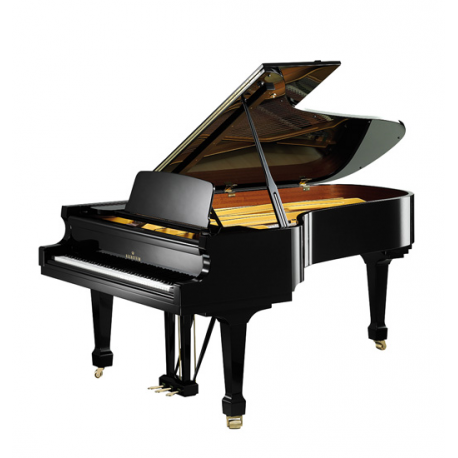 Bechstein A228