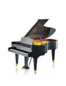 C. Bechstein  B212