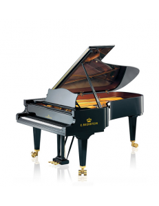 C. Bechstein  C234