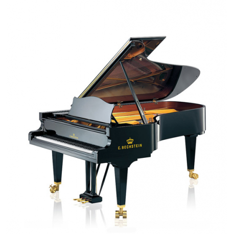 C. Bechstein  C234