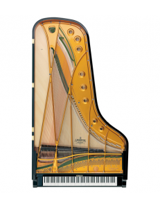 C. Bechstein  D282