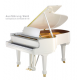 Bechstein A160