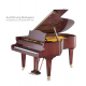 Bechstein A160