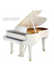 C.Bechstein A208