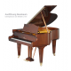 Bechstein A228