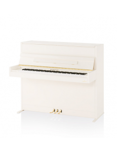 C.Bechstein A2