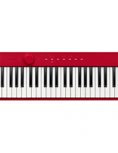CASIO PX-S1000