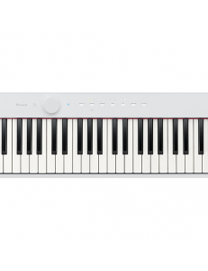 CASIO PX-S1000