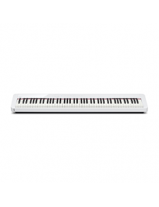 CASIO PX-S1000