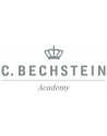 C.Bechstein Academy